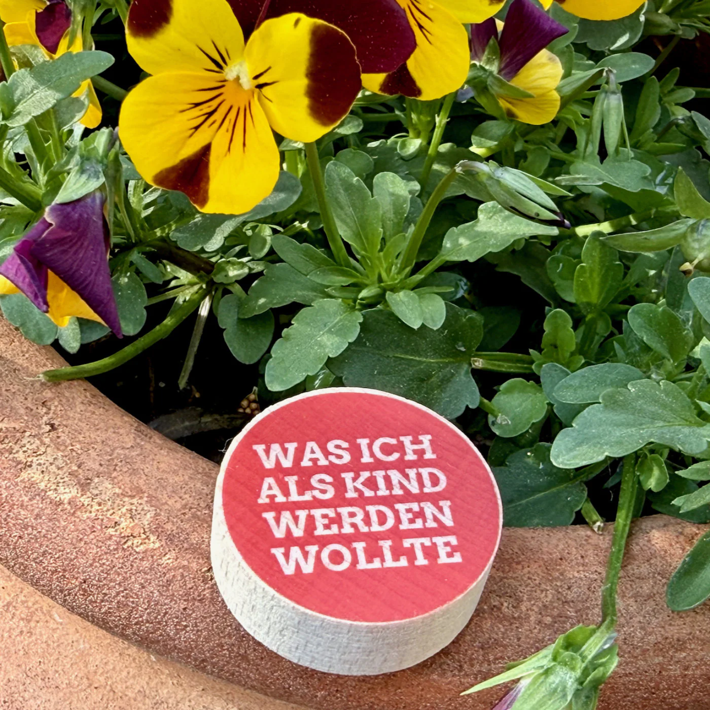 Vorschaubild 2
